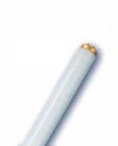OSRAM L 100W/79 R EVERSUN